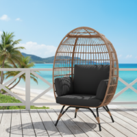 LOCCUS Single Seater Swing Basket For Balcony & Garden - Beige & Black